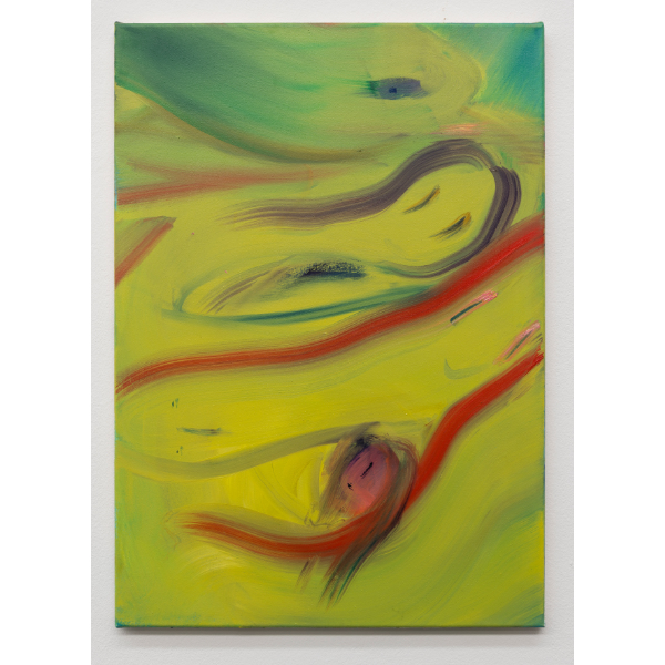 ANETA KAJZER<br>Flying Snake Ladies, 2021, oil on canvas, 70 x 50 cm