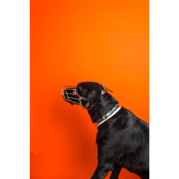 PETER PUKLUS<br>0202 (black dog with orange background), 2011